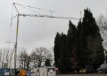 Услуги по аренде башенного крана TEREX CBR 32H-4 в Бресте и Брестской области по низким ценам